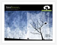 Treehouse - Nov 2005
